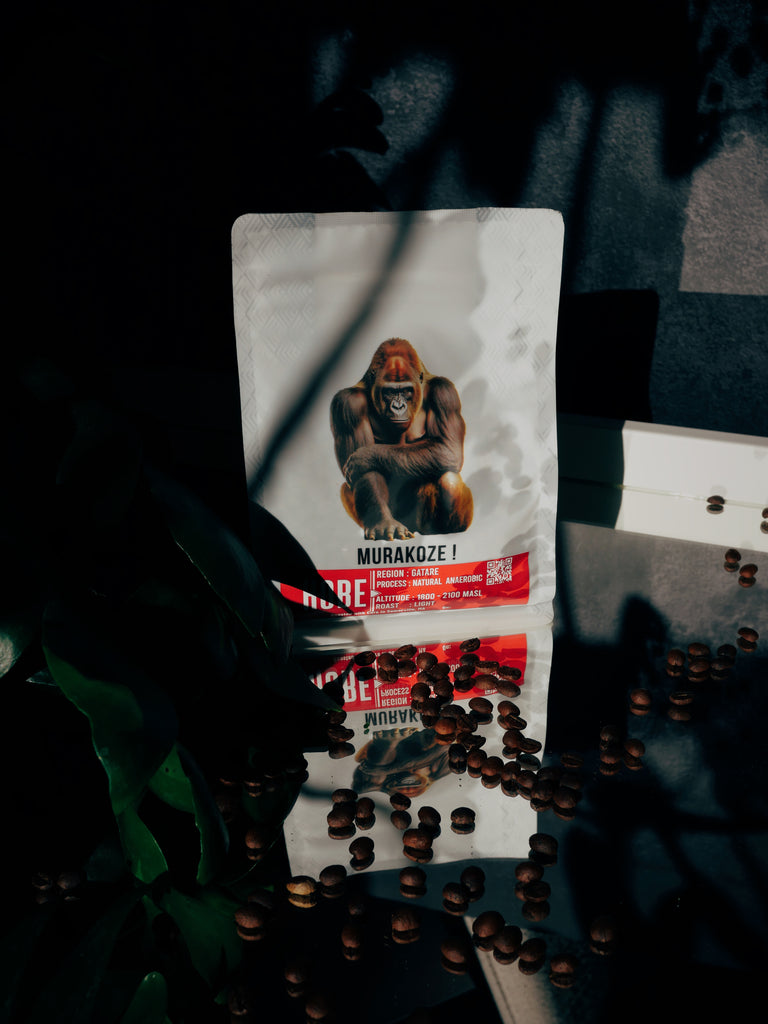 Gatare Anaerobic Process.