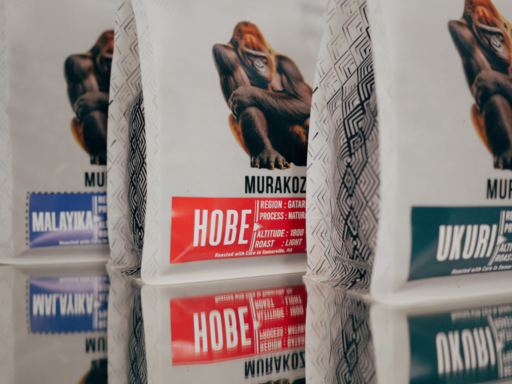 Gatare Anaerobic Process.