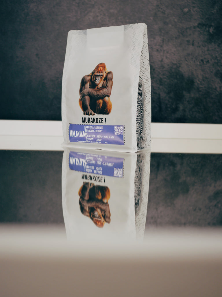 Busanze Honey Process