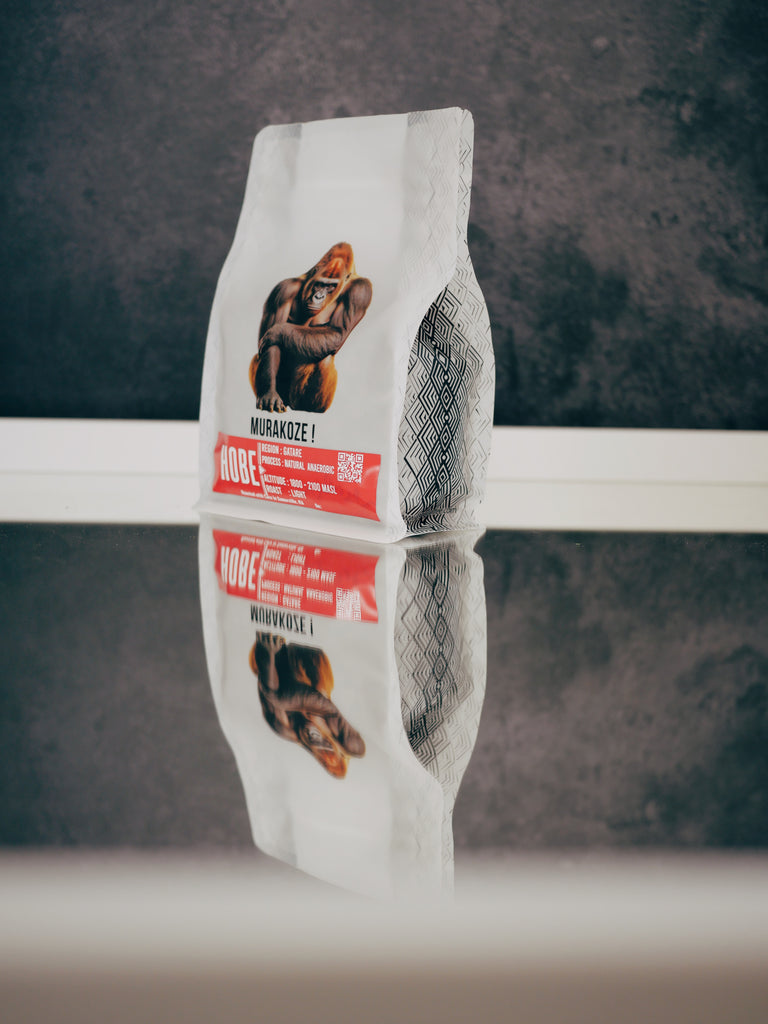 Gatare Anaerobic Process.