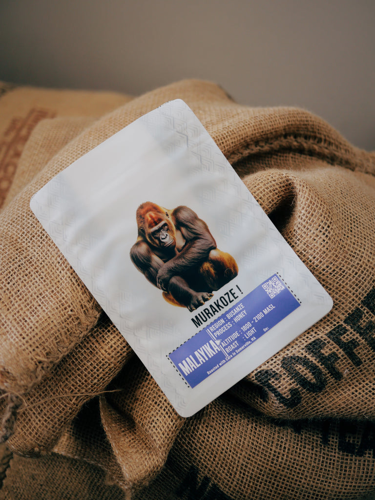 Busanze Honey Process